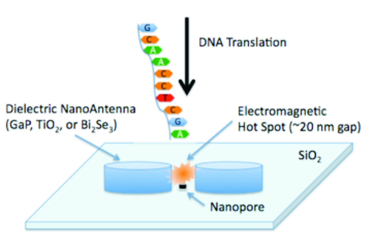 DNA sequencing diagram